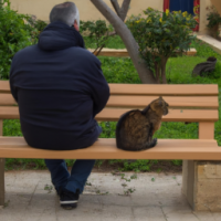 A man sitting on a bench with his cat